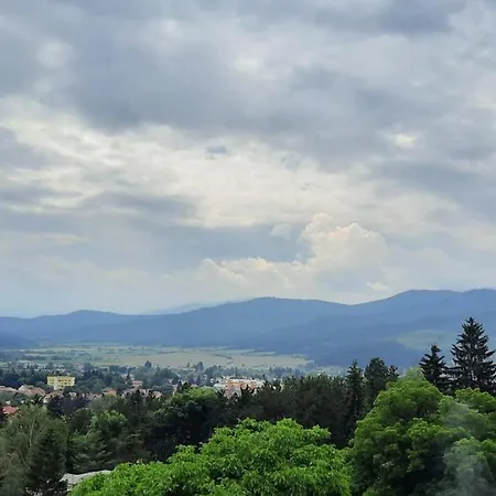 сара Velingrad